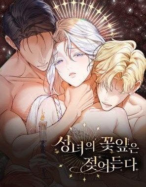 不知疲倦的男主角們