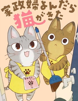 叫了家政來了貓
