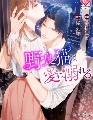 流浪貓沉溺於愛