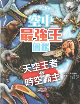 空中最强王图鉴