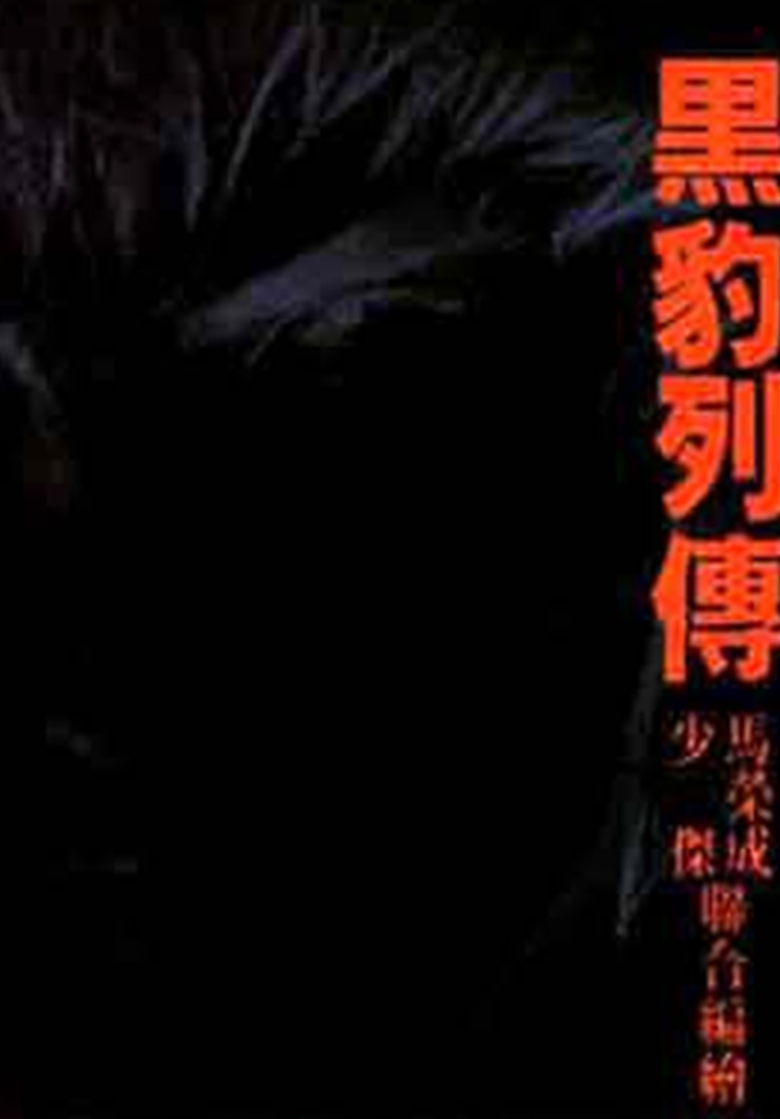 黑豹列传