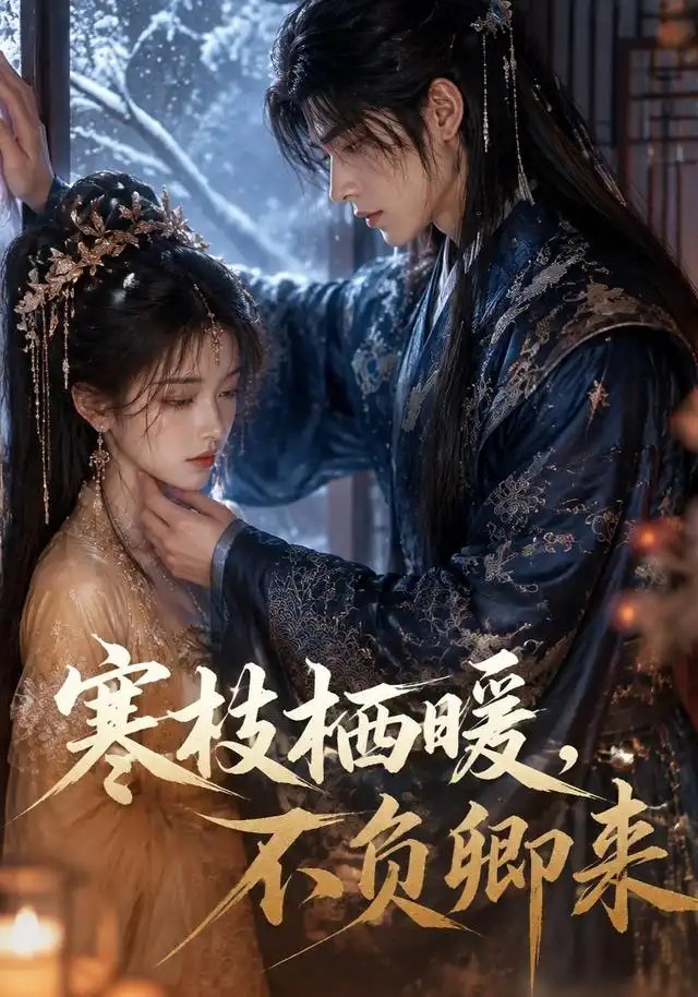 寒枝栖暖，不负卿来&寒枝栖暖不负卿来（50集）AI短剧
