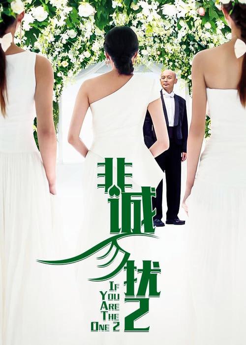 非诚勿扰2