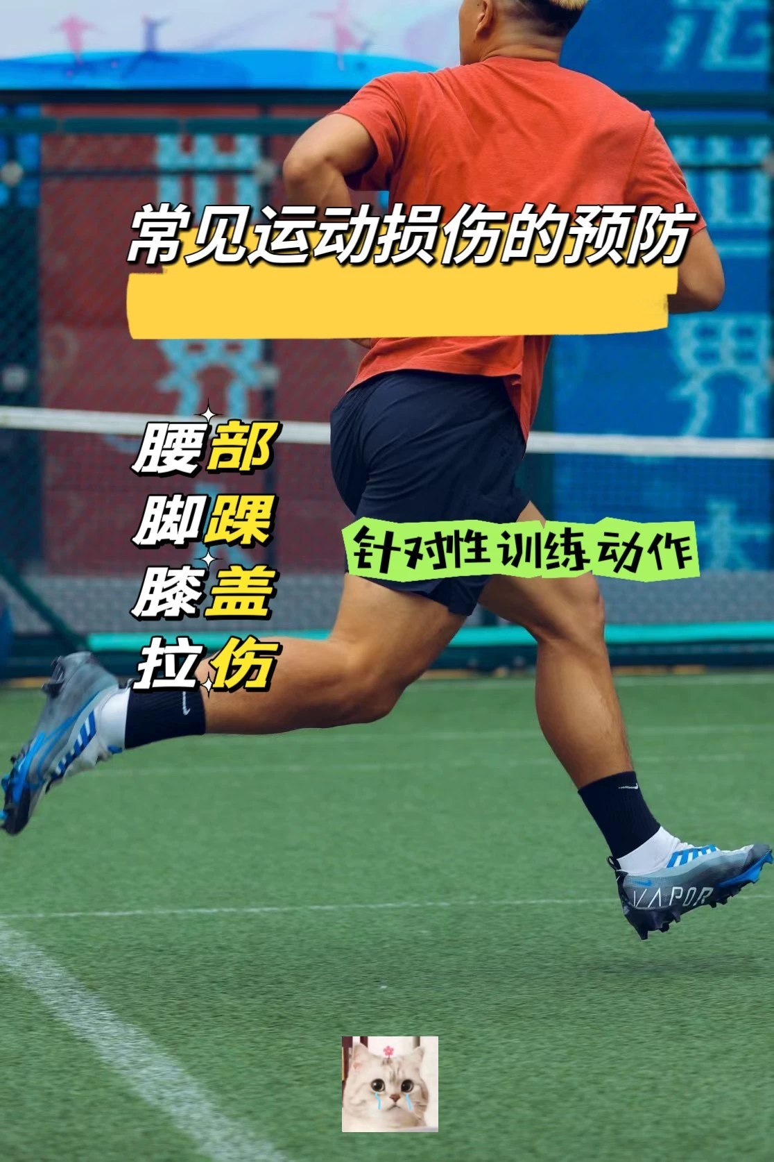 乒乓球教程初学者从入门-发球等全方面学习