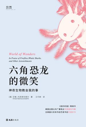 六角恐龙的微笑 [﻿小说文学] [pdf+全格式]