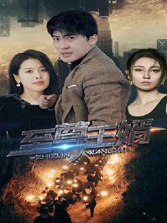 至尊王婿(100集) [赘婿]