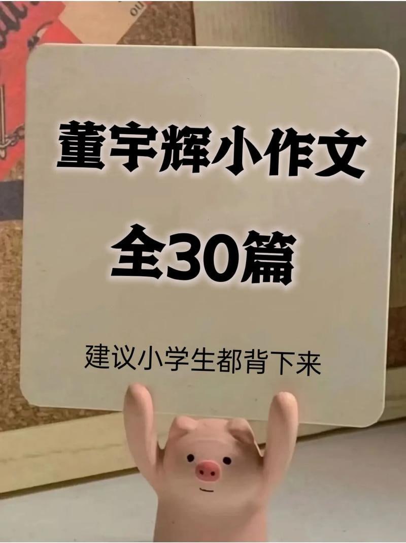 董宇辉小作文30篇