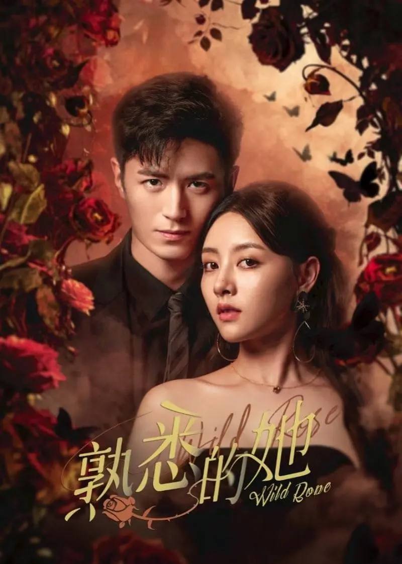 熟悉的她(2025)[更至19／24集]