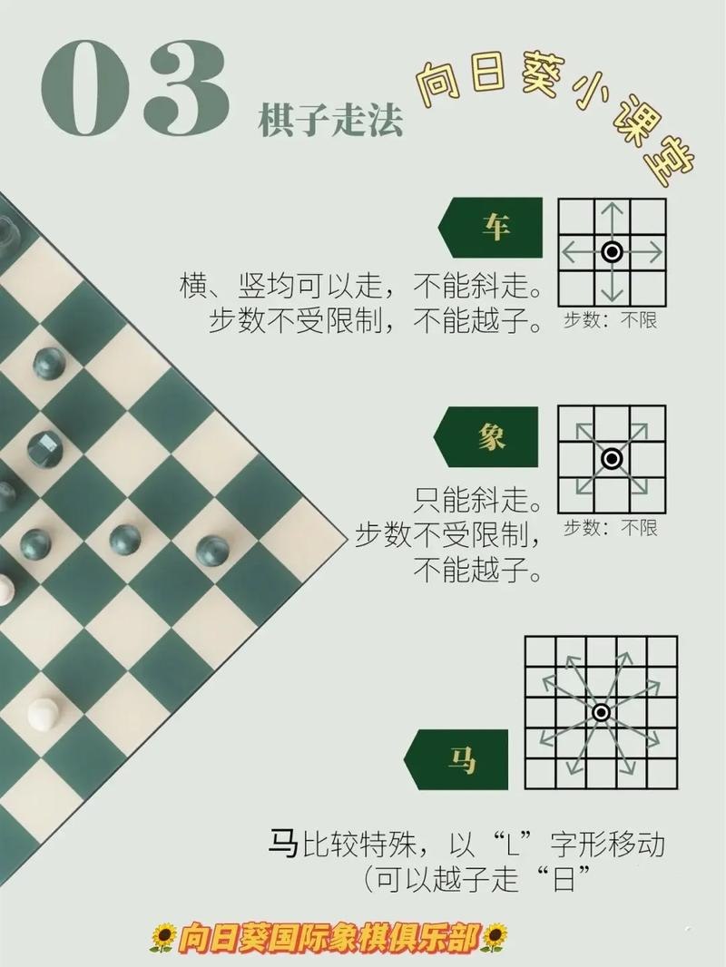 国际象棋入门修订本 棋牌图书编委会[pdf]