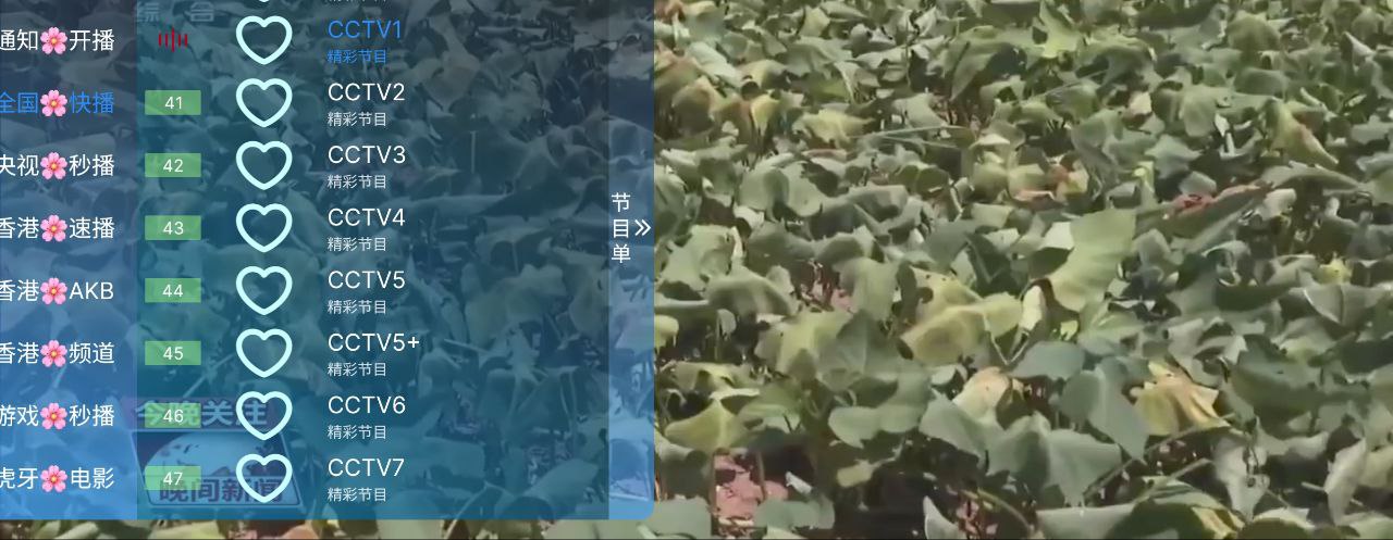 暮雨电视  v7.0   央视+卫视+地方+港澳台+轮播+虎牙+春晚