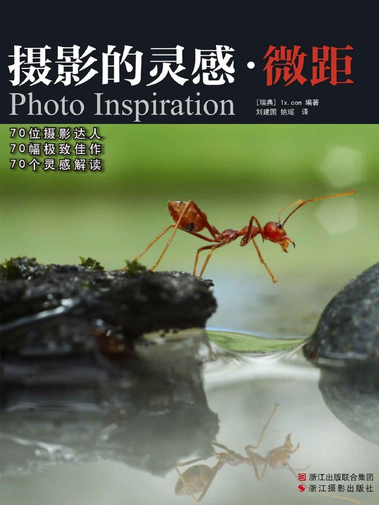 摄影的灵感 微距70幅绝妙的微距摄影佳作