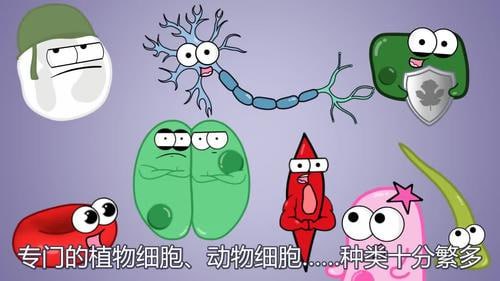 看动画趣味学初中生物