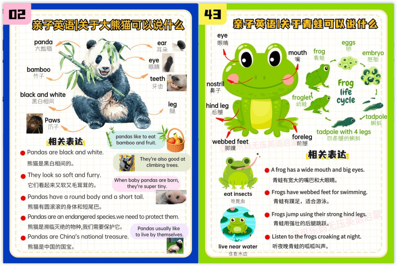 可乐妈无压英语启蒙：帮助孩子开口说英语 ，英语初学者也可以学习。 英语启蒙思维导图+音频