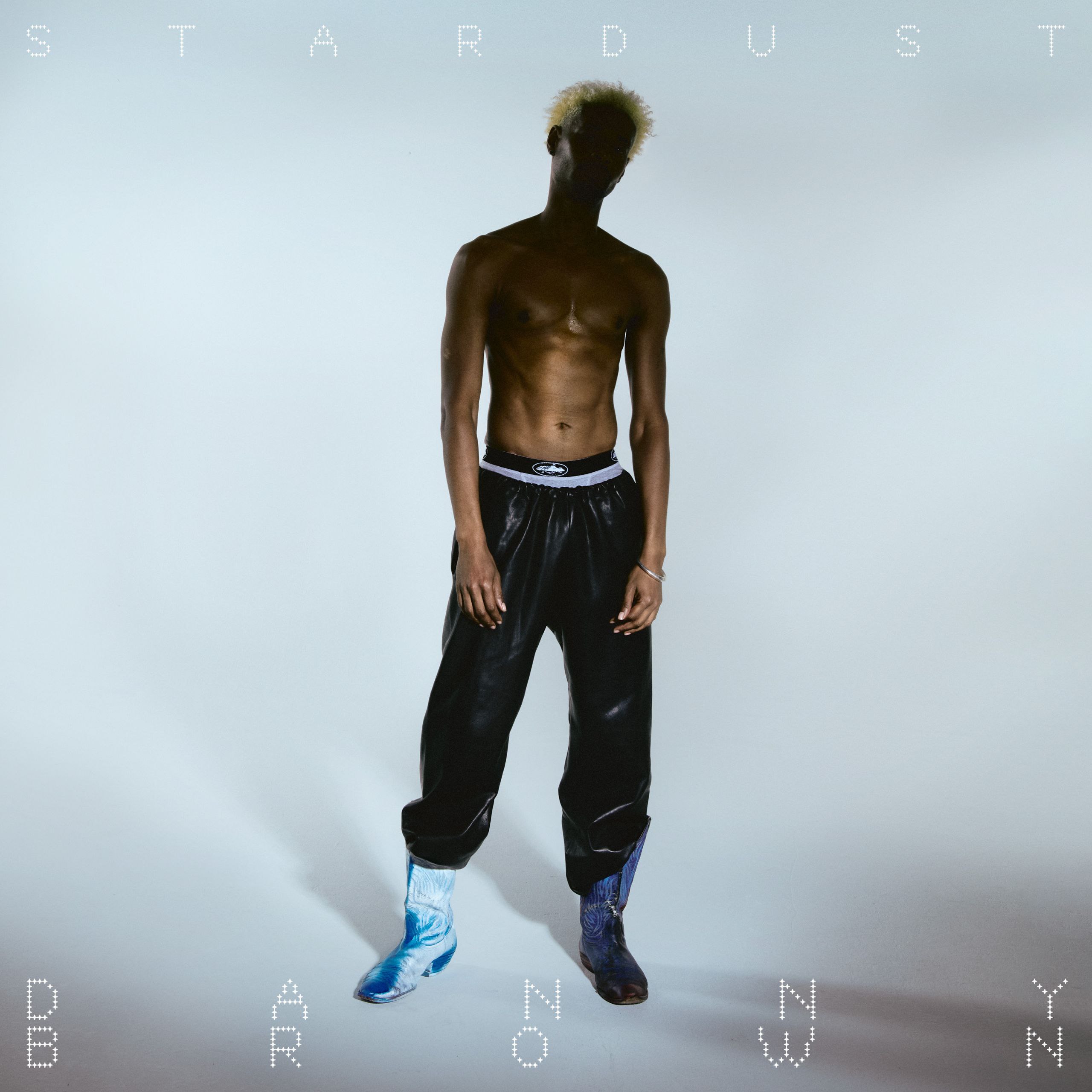 Danny Brown - Stardust - (2025) Hi-Res FLAC 24bit 44kHz) qobuz