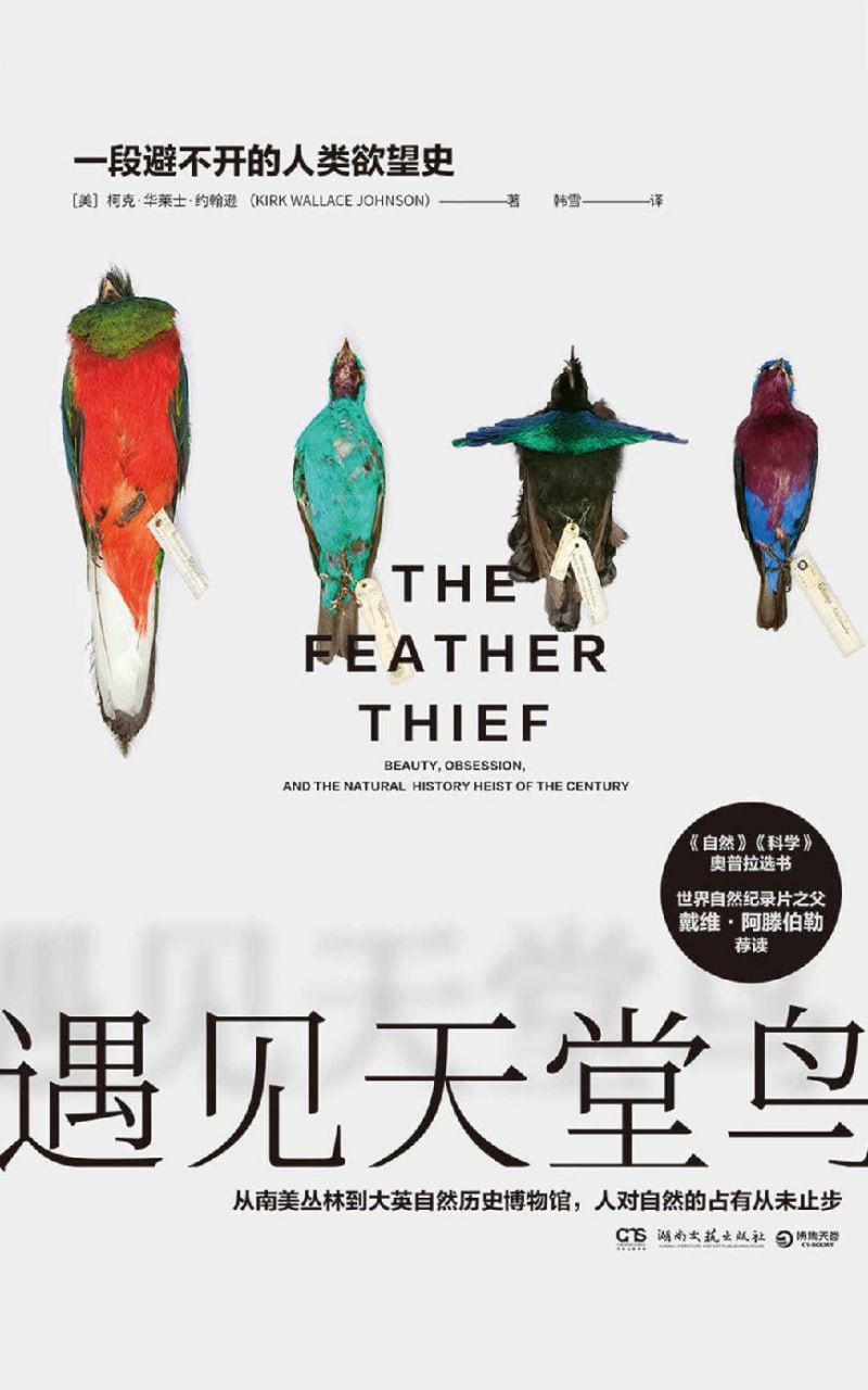 遇见天堂鸟 [﻿小说文学] [pdf+全格式]