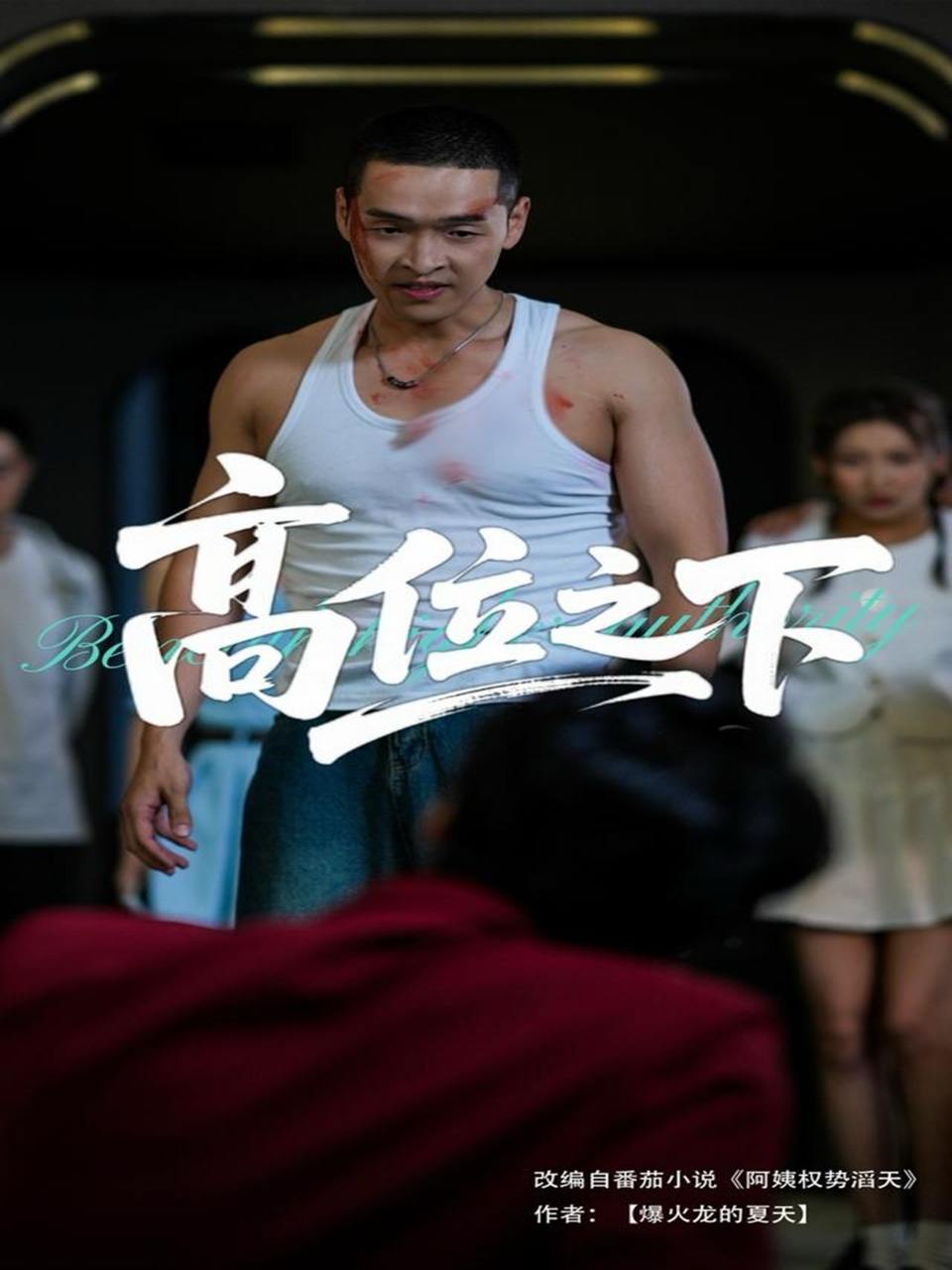 高位之下（65集）张家嘉&赵龙  /最新 短剧