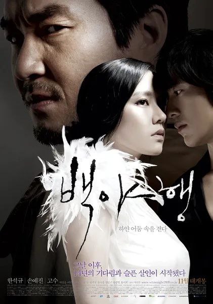 白夜行(2009)