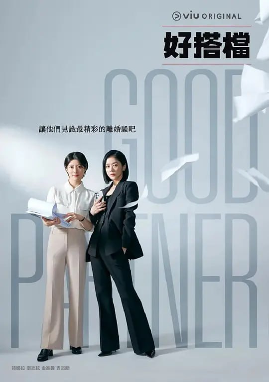 好搭档 굿파트너 (2024) 1080p内封简繁   更新至01