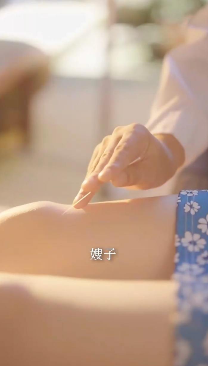 一念春风起（36集）陈沐琳 /最新 短剧