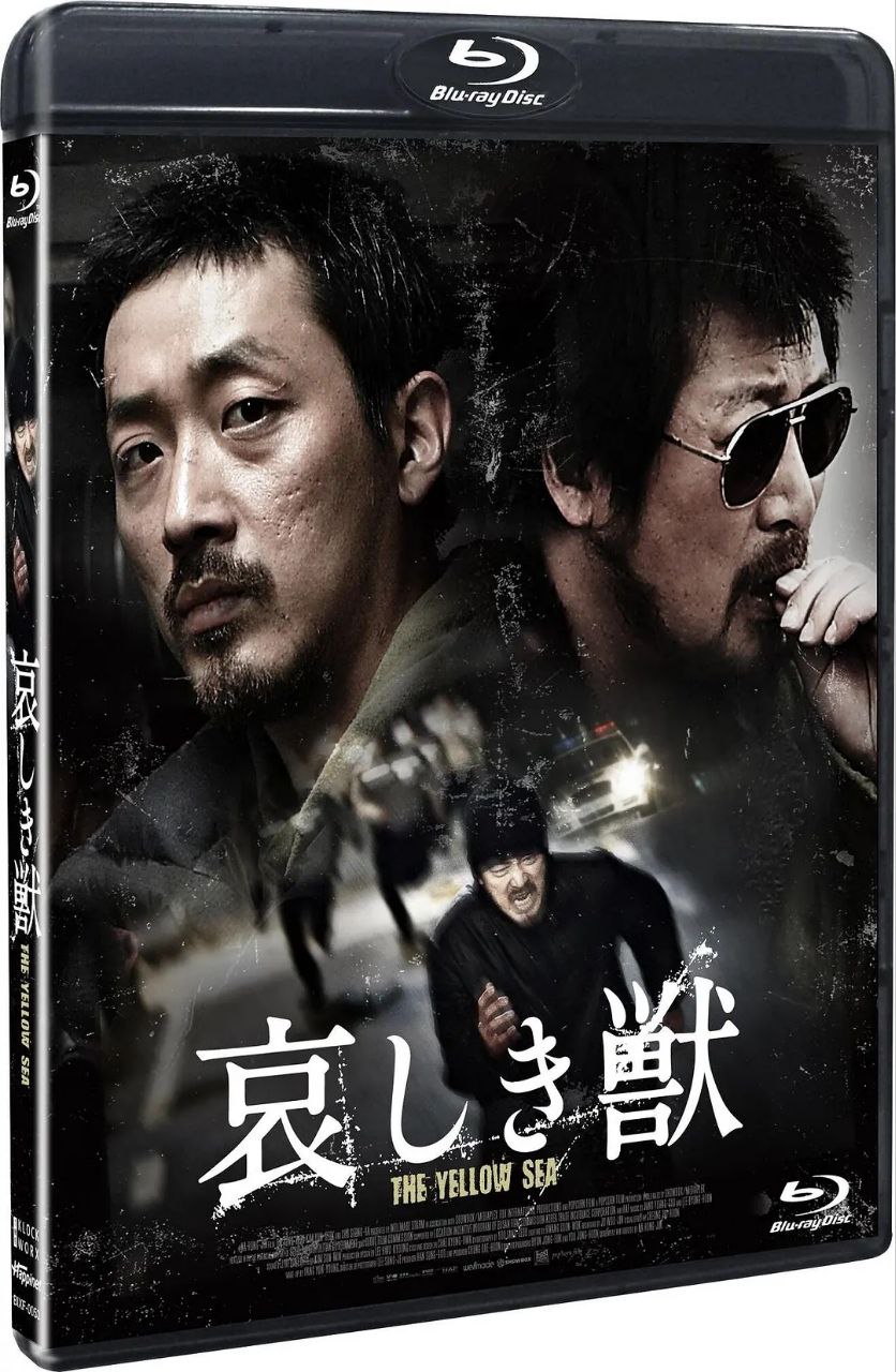 黄海(2010)