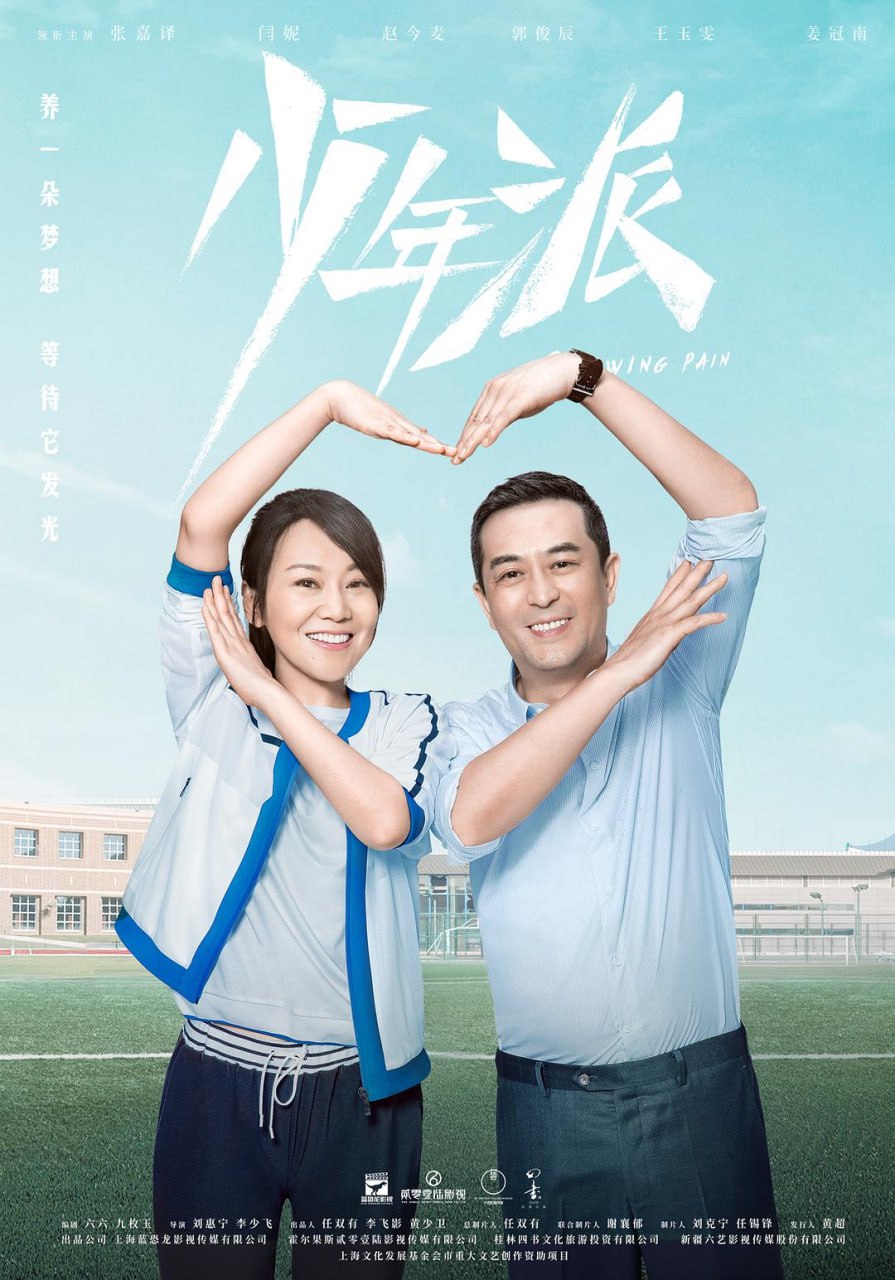 少年派 全2季 国语中字 2019-2020 1080P
