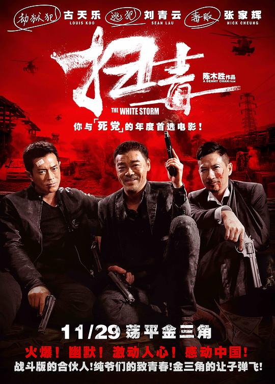 扫毒 掃毒 (2013) 1080p 原盘Remux 中文字幕 已刮削