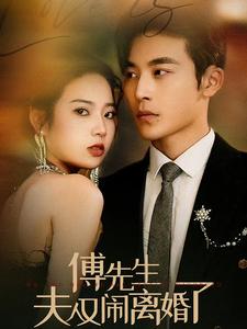 傅先生夫人又闹离婚了全80集 李艺璇最新上线短剧