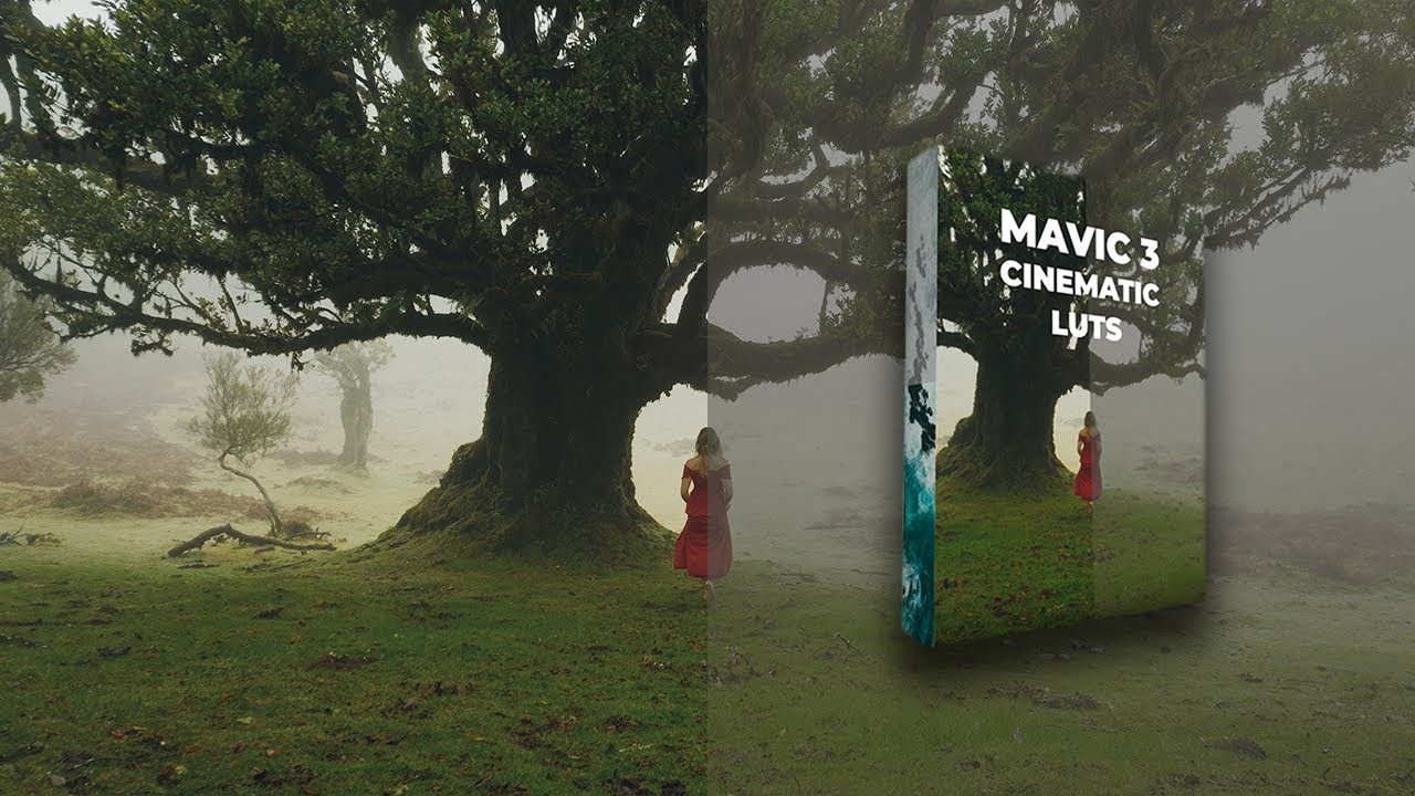 LutsGumroad - Denis Barbas Cinematic Drone LUTs