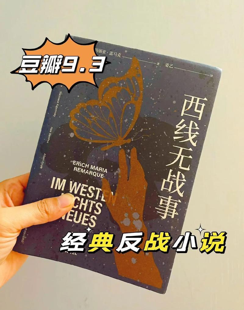 西线无战事罗翔推荐 豆瓣万人评价9.5分的反战小说