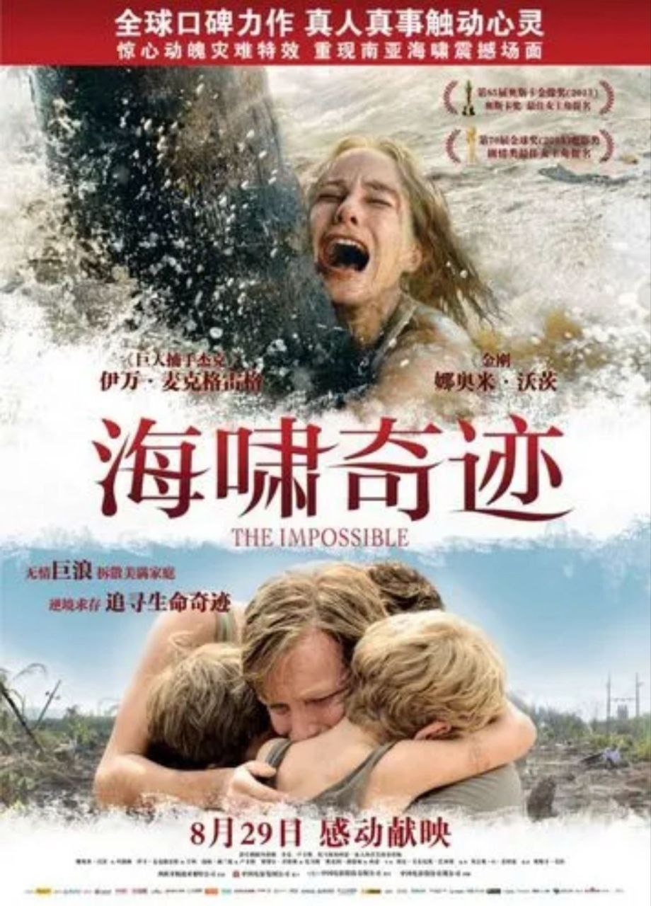 海啸奇迹 (2012) 1080P 国英双音轨 中字内嵌字幕
