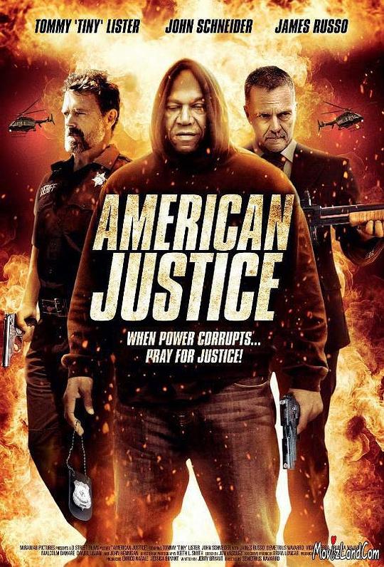 美国司法 American Justice (2015) 1080p 原盘Remux 已刮削