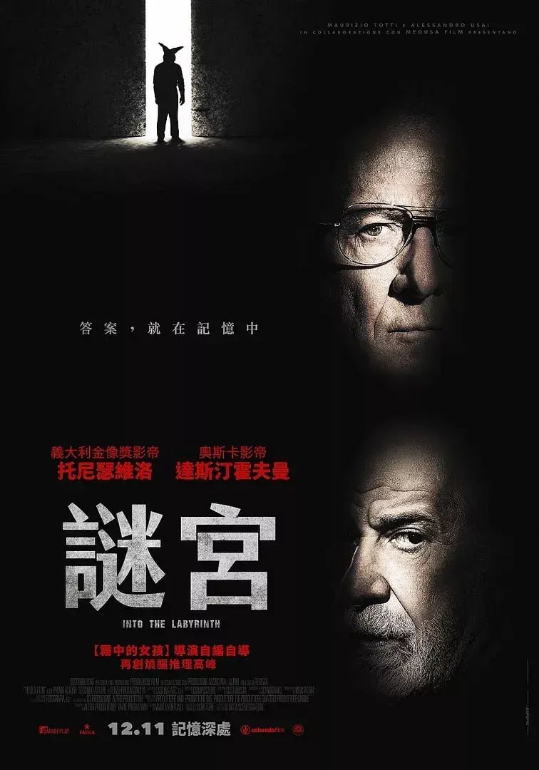 迷宫中的人 L'uomo del labirinto (2019)