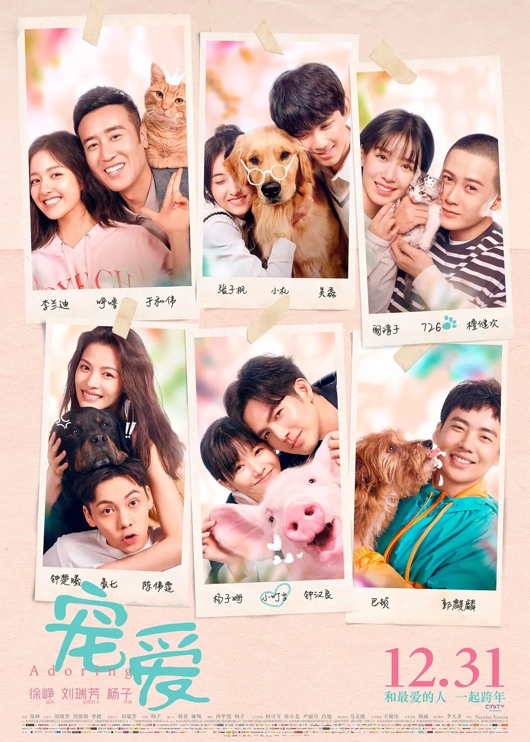 名称：宠爱 (2019) 4K WEB-DL H265 AAC 2.0