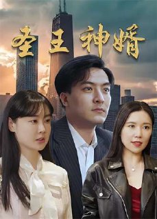 圣王神婿(73集) [赘婿]
