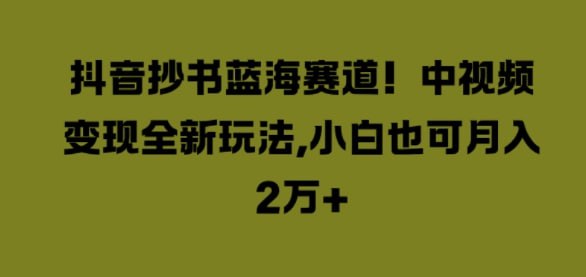 中视频变现全新玩法，小白也可月入2W+