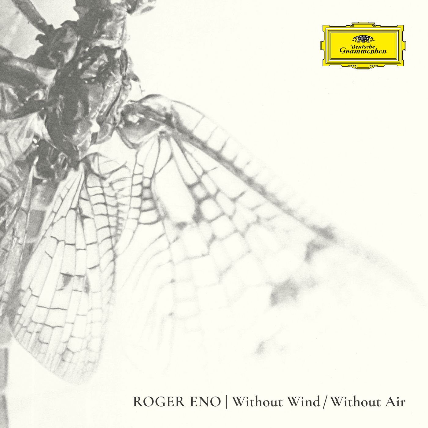 Roger Eno - Without Wind, Without Air - 2025 FLAC 24bit 96kHz qobuz 现代古典 氛围音乐 纯音乐