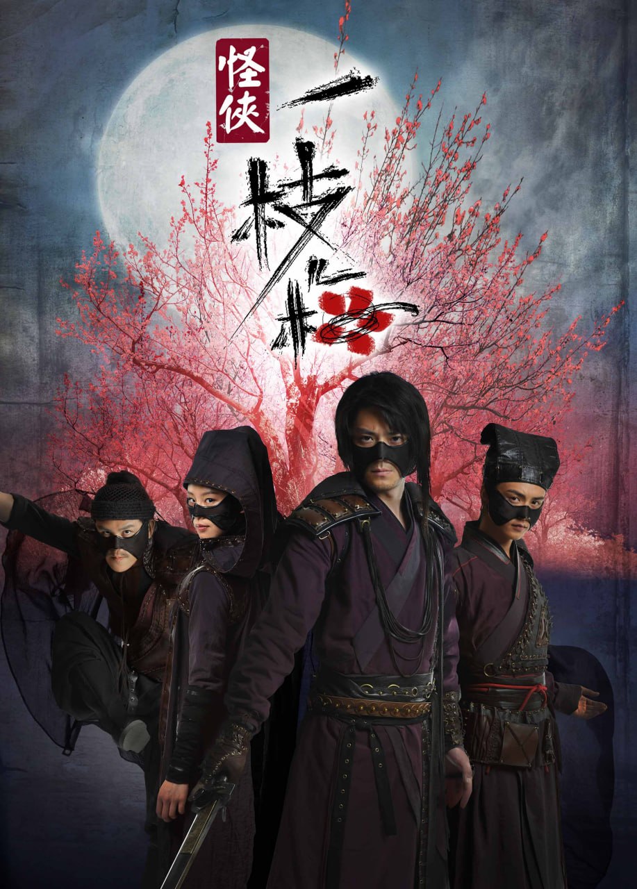 怪侠一枝梅 全30集 国语中字 2010 1080P