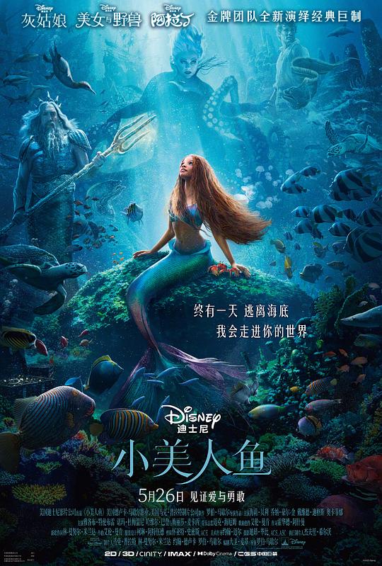 小美人鱼 The Little Mermaid (2023) 1080p 原盘Remux 中文字幕 已刮削