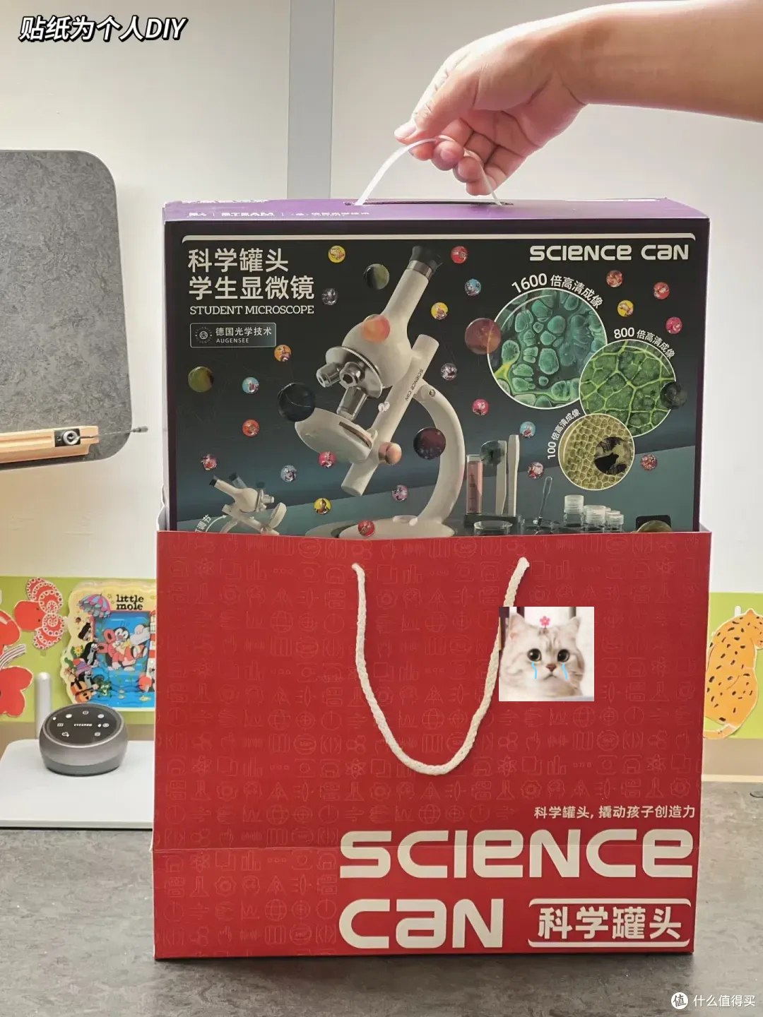 最强大脑100天记忆特训-右脑绘图记忆系统