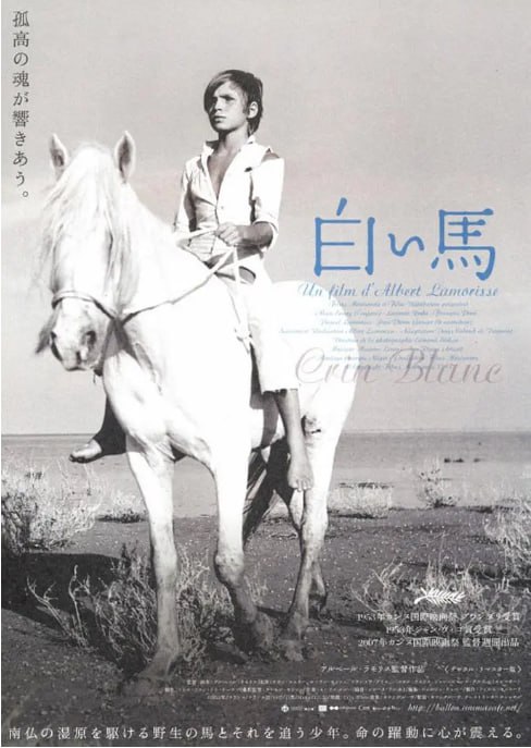[白鬃野马][1953][英语中字][1080P][1.4G]
