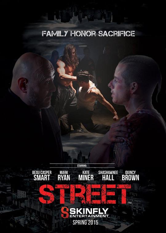 街区斗士 Street (2015) 1080p 原盘Remux 已刮削