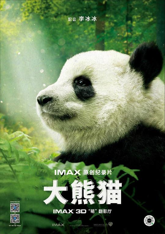 大熊猫 Pandas (2018) 4K/2160p 原盘Remux 中文字幕 已刮削