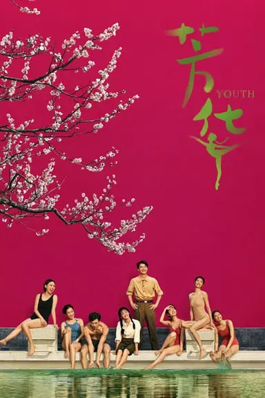 芳华 (2017) 1080p BDRip 内封简繁