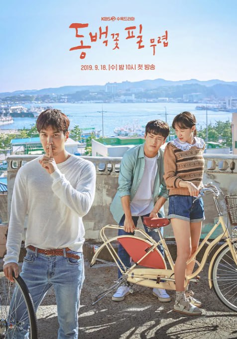 [韩剧][山茶花开时][2019][全20集][韩语中字][1080P][29G]