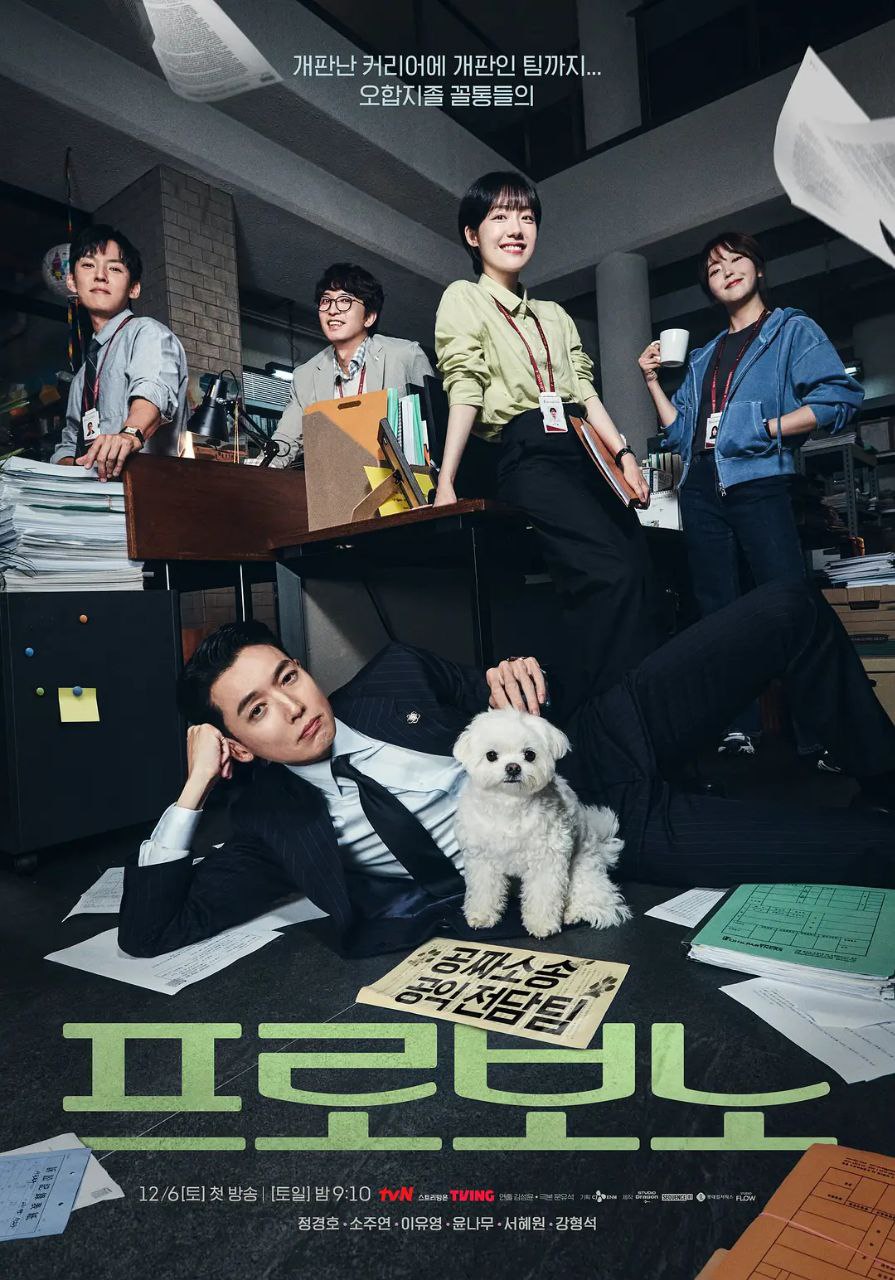 公益律师 2025 12集完结 内封简繁英字幕 1080p 프로보노 Pro Bono 为了公益 无偿服务