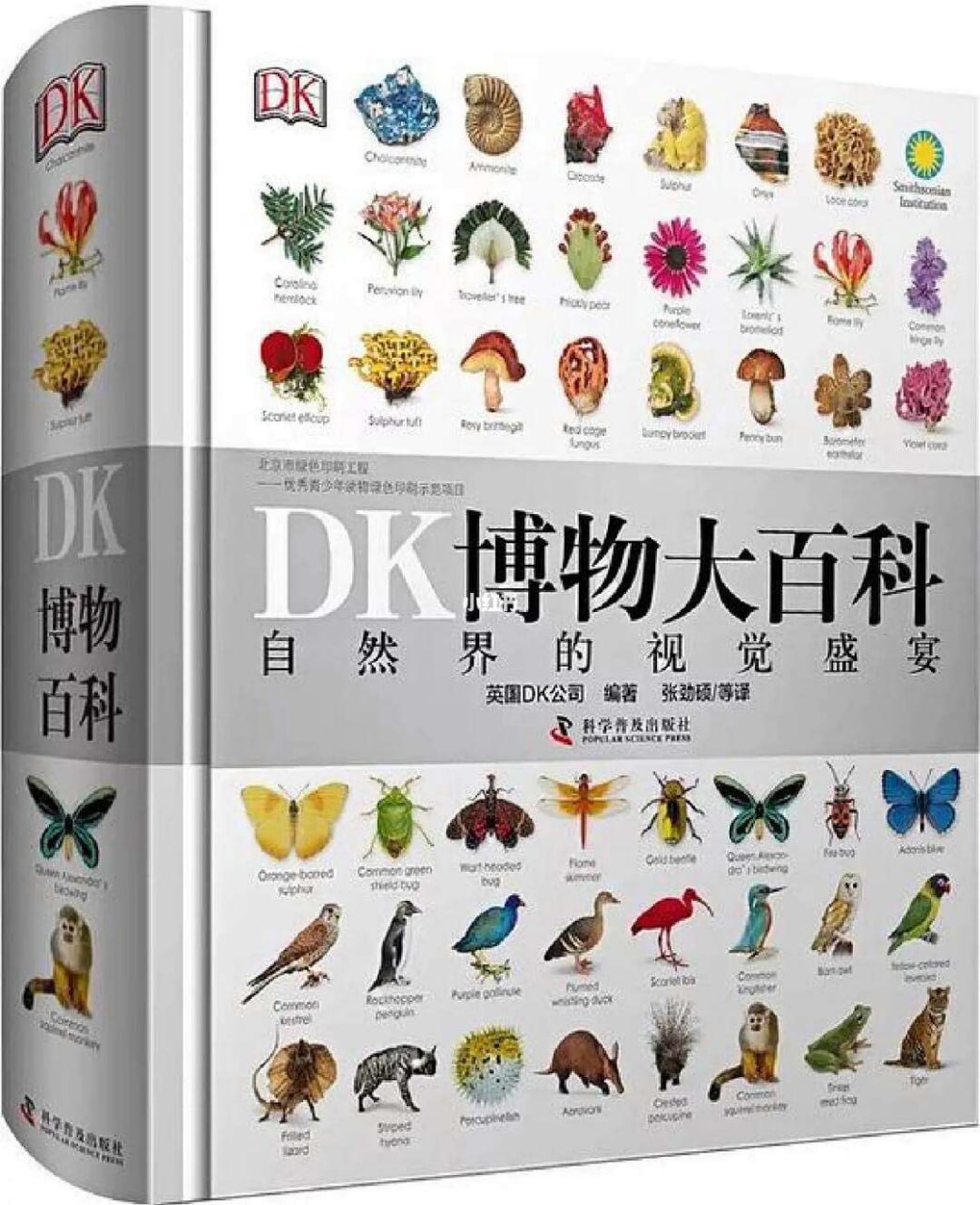 DK博物大百科：自然界的视觉盛宴