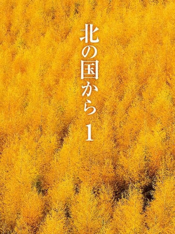北国之恋 全24集+特别篇 日语中字 1981 720P