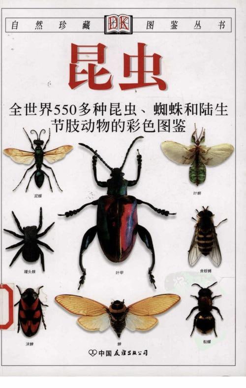 昆虫：全世界550多种昆虫、蜘蛛和陆生节肢动物的彩色图鉴5本PDF合集
