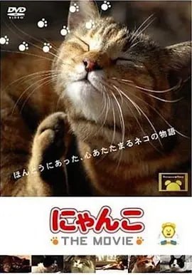 猫咪物语日语中字