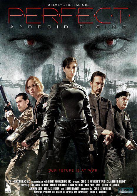 机器人的崛起 Perfect: Android Rising (2013) 1080p 原盘Remux 中文字幕 已刮削